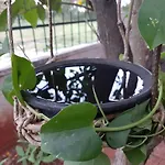 Agsara Home Stay