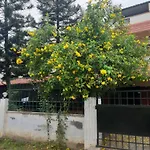 Agsara Home Stay