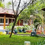 Aara Jungle Resort