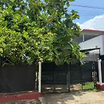 The Lazy Palm Shack