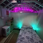 The Lazy Palm Shack
