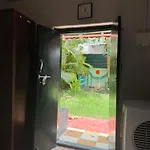 The Lazy Palm Shack