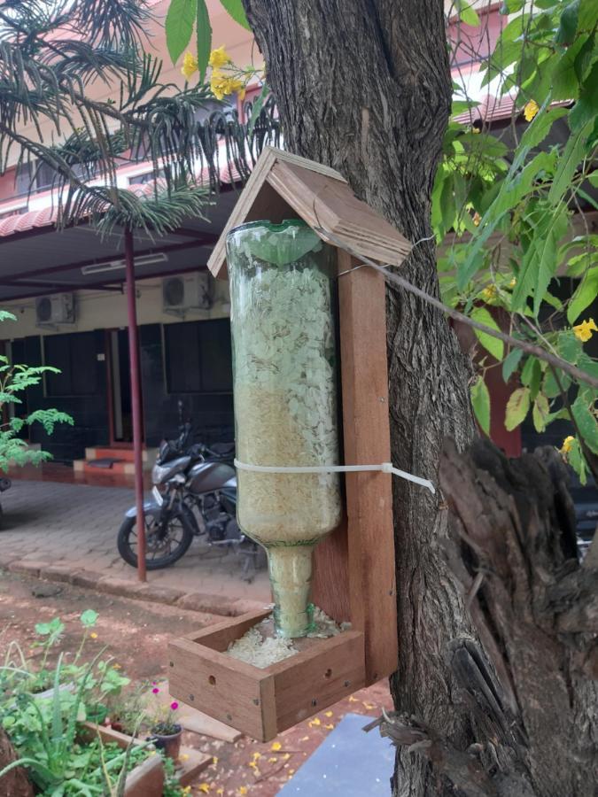 Agsara Hostel