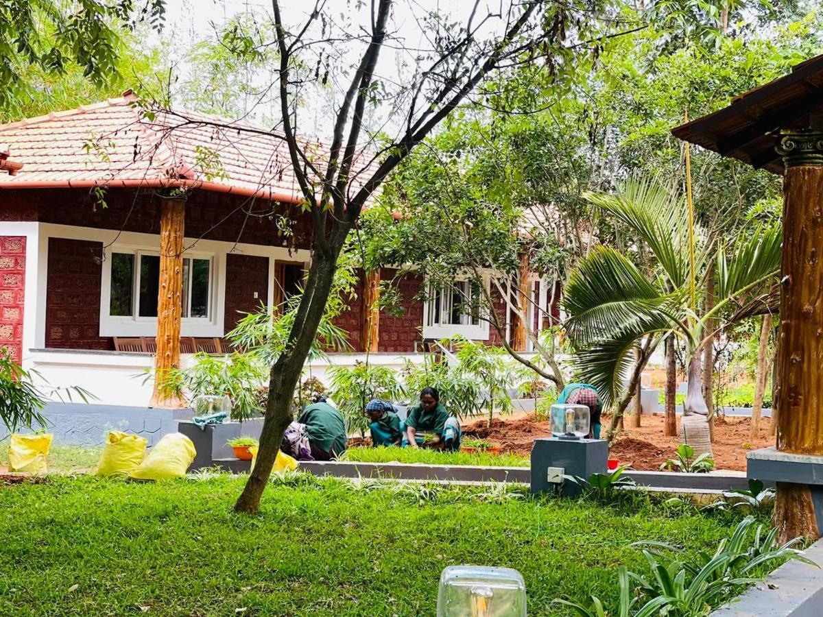 Aara Jungle Resort Resort