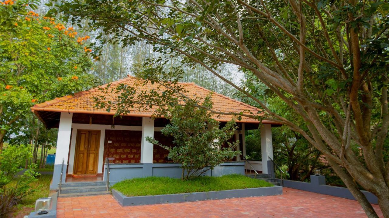 Aara Jungle Resort Resort *
