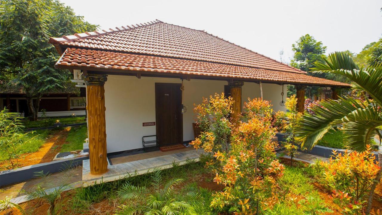 Aara Jungle Resort