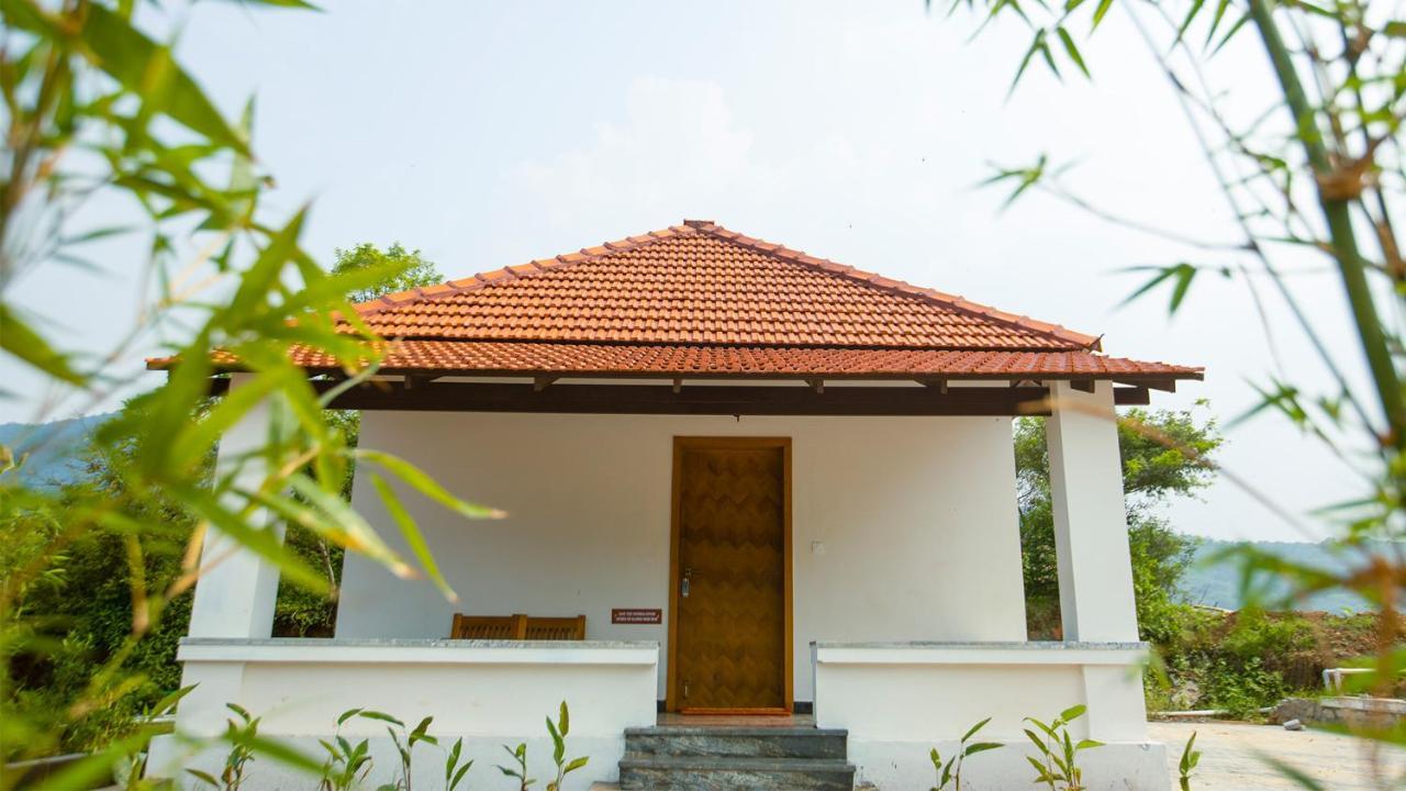 Resort Aara Jungle Resort *