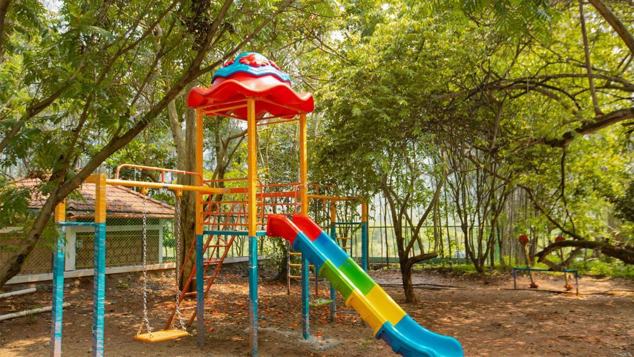 Resort Aara Jungle Resort