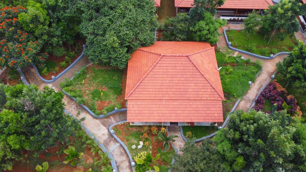 Resort Aara Jungle Resort *