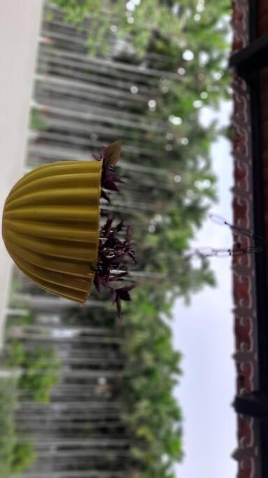 Shi's Shambhavi -on The Way To Isha, Maruthamalai Apartamento