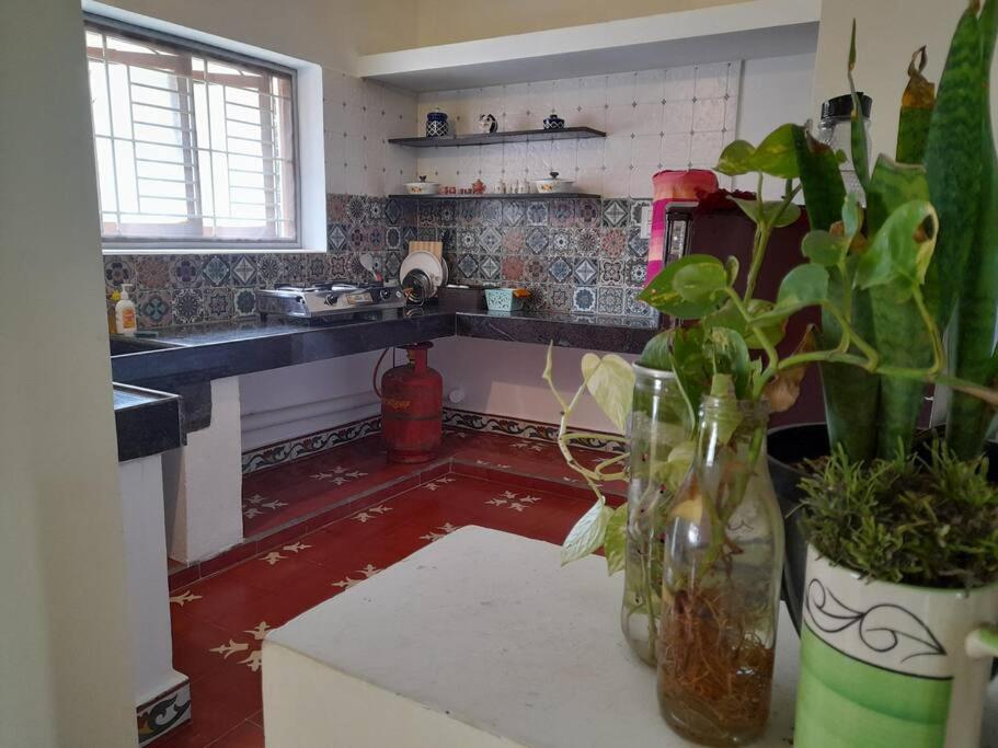 Apartamento Shi's Shambhavi -on The Way To Isha, Maruthamalai *