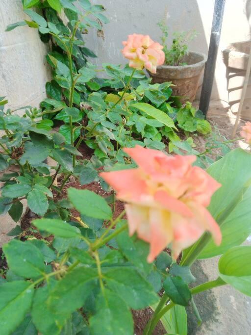 Holiday home Aathira's 2 Bedroom House @ Heart Of