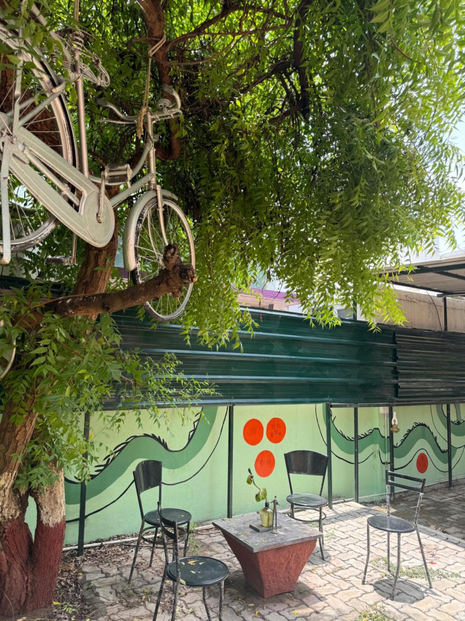 The Lazy Palm Shack