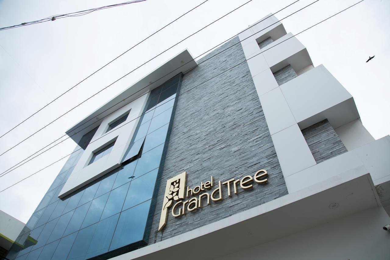 Grand Tree Hotel 3*