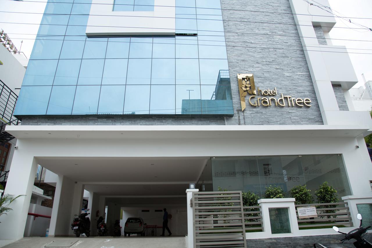 Grand Tree Hotel 3*