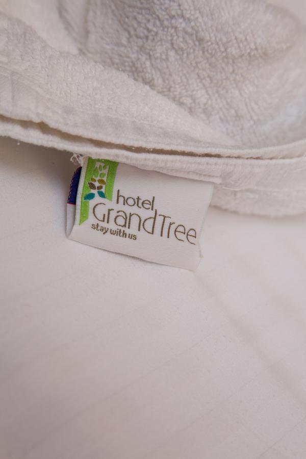 Grand Tree Hotel 3*