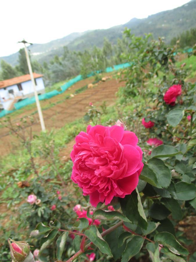 Relaxing 2 B/r Estate House, Deenaty, Tamil Nadu Guest house *