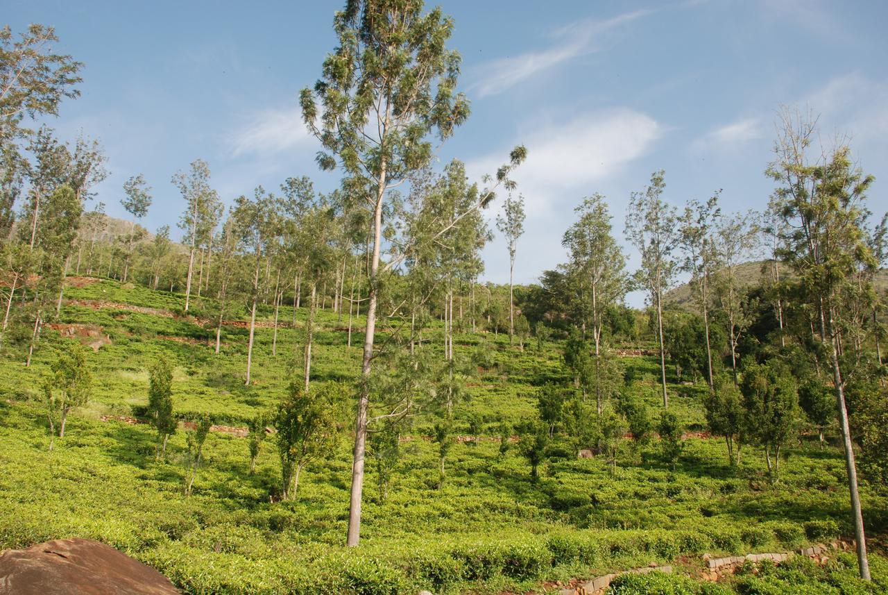 Relaxing 2 B/r Estate House, Deenaty, Tamil Nadu *