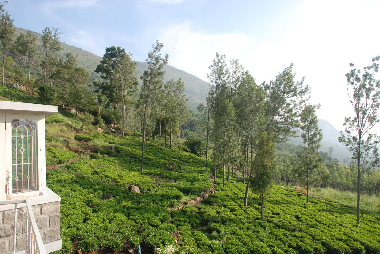 Relaxing 2 B/r Estate House, Deenaty, Tamil Nadu Guest house