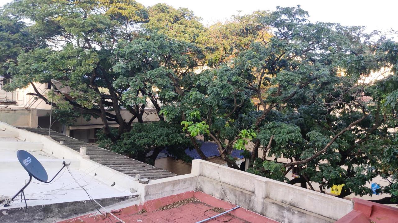 Sibi