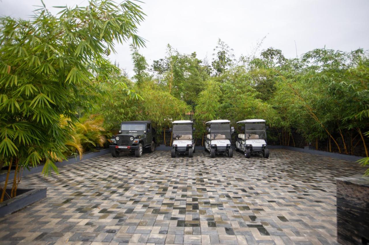 Resort Sr Jungle